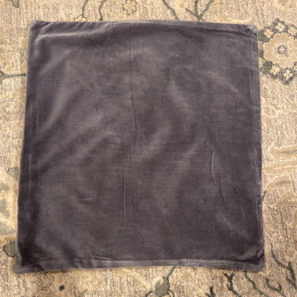 Pottery Barn Pillow Cover